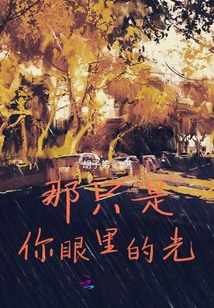 那只是你眼里的光