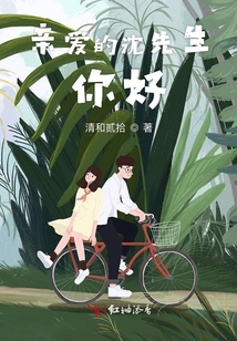 親愛的沈先生你好