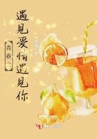 榴莲与柠檬水