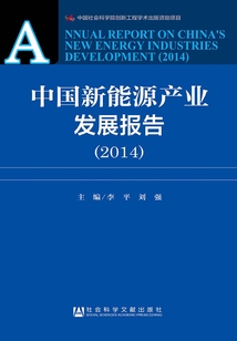 中国新能源产业发展报告(2014)