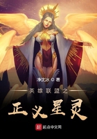 英雄联盟之正义星灵在线阅读