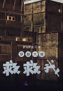 穿越大佬，救救我