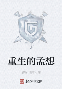 重生的孟想