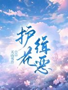 護花緝惡在線閱讀