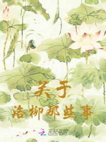 關于洛柳那些事
