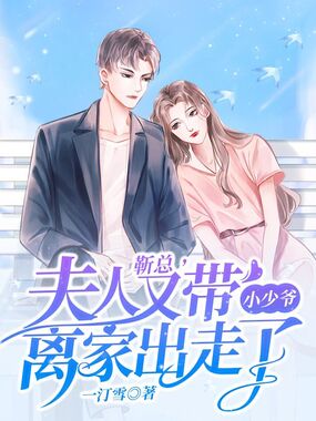 靳总,夫人又带小少爷离家出走了在线阅读