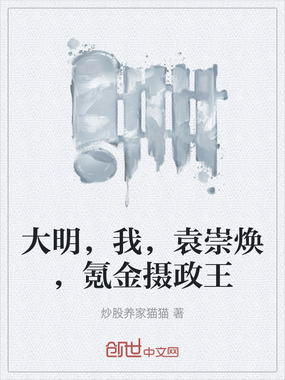 大明，我，袁崇焕，氪金摄政王在线阅读