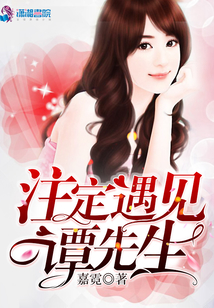 注定遇见谭先生