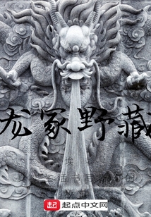 龍冢野藏
