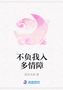 不負我入多情障