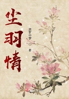 塵羽情在線閱讀