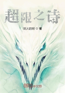 超限之詩(shī)