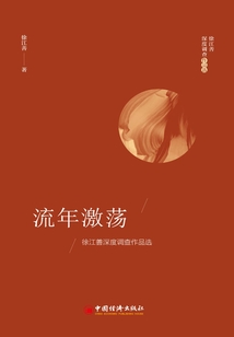 流年激荡:徐江善深度调查作品选