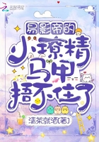 易影帝的小撩精马甲捂不住了在线阅读
