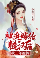 被迫嫁给糙汉后,我三年抱俩在线阅读