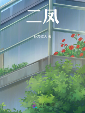 二凤在线阅读