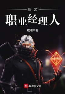 暗之职业经理人在线阅读