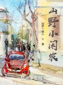 山野小闲农（陈观、米烟婉）在线阅读