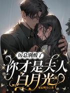 厉总别酸了,你才是夫人白月光在线阅读