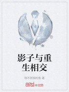 影子与重生相交在线阅读