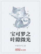 宝可梦之叶隙微光在线阅读