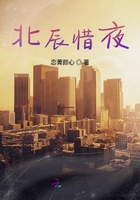 北辰惜夜在線閱讀