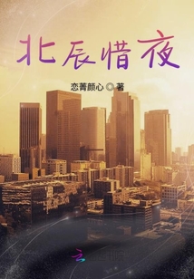 北辰惜夜