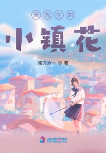 宋先生的小鎮花
