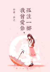 我曾愛你，孤注一擲