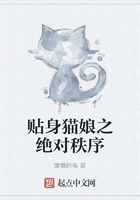 貼身貓娘之絕對(duì)秩序在線閱讀