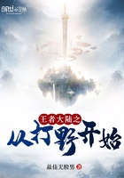 王者大陆之从打野开始在线阅读