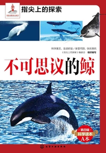 不可思議的鯨