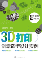 3D打印创意造型设计实例在线阅读