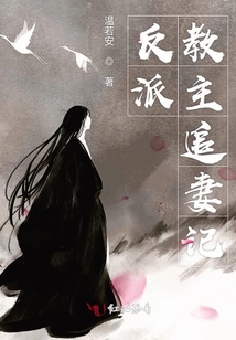 反派教主追妻記