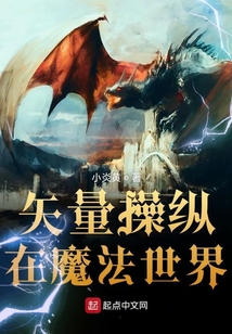 矢量操縱在魔法世界