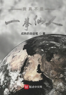 我真不是一拳仙人