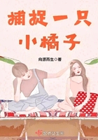 捕捉一只小橘子在線閱讀