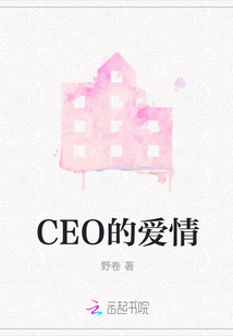 CEO的愛情