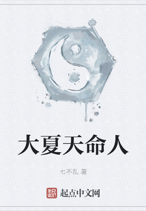 大夏天命人