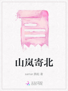 山岚寄北在线阅读