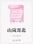 山岚寄北在线阅读