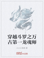 穿越斗罗之万古第一龙魂师在线阅读
