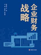 企业财务战略在线阅读