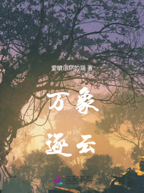 万象逐云在线阅读