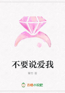 不要说爱我