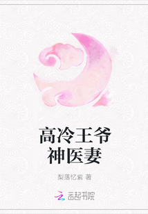 高冷王爺神醫妻