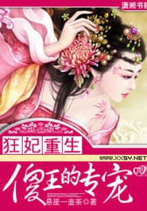 傻王的专宠