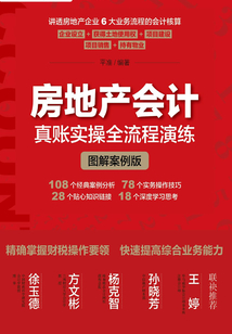 房地產會計真賬實操全流程演練(圖解案例版)