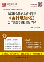 山西省会计从业资格考试《会计电算化》历年真题与模拟试题详解