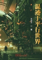 混跡于平行世界在線閱讀